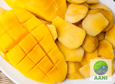 Aani Mango Industry Association