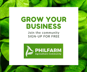 Grow Your Business - Join the community - SIGN-UP FOR FREE