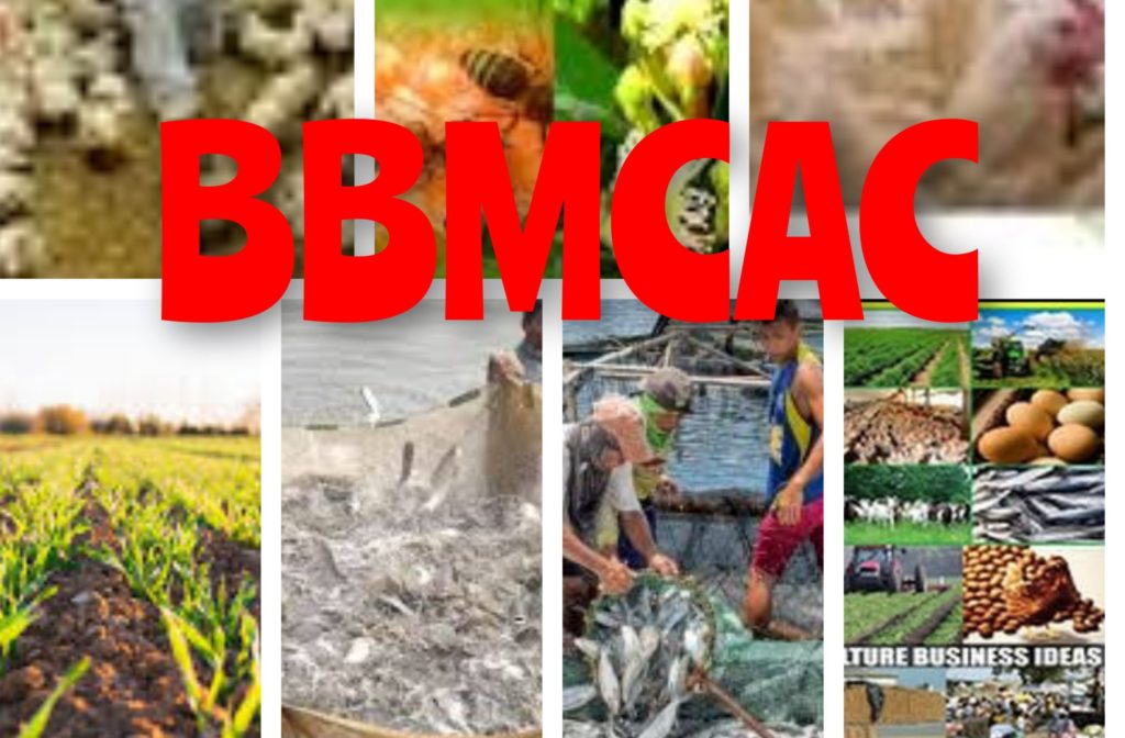 Buhay Balikatan Magsasaka Community Agriculture Cooperative